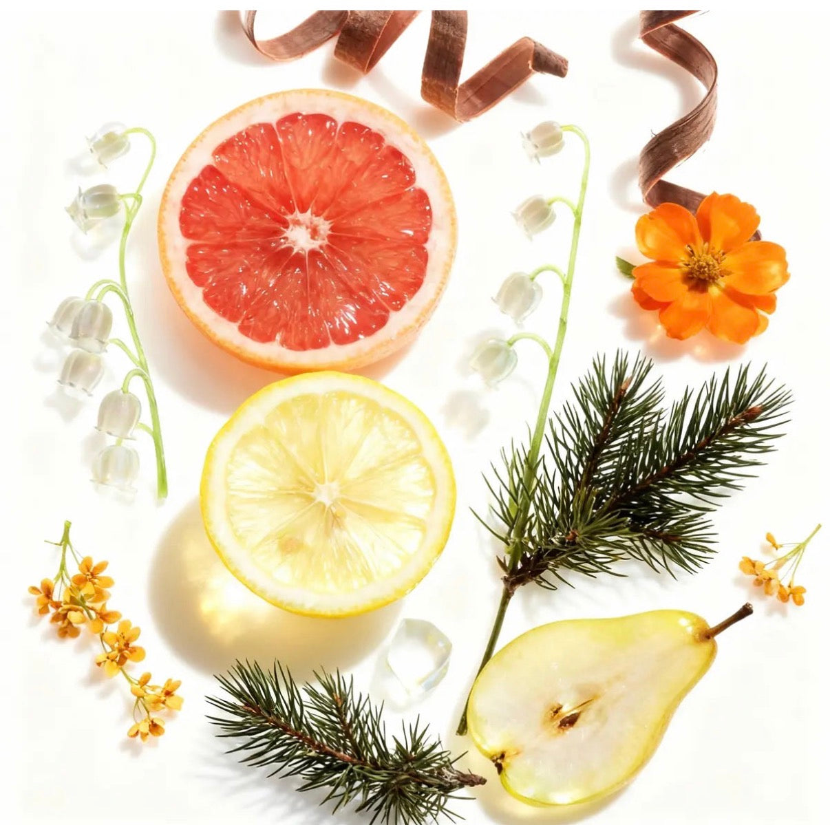 4 Piece Set Wish Hand Sanitizer With Silicone Holder